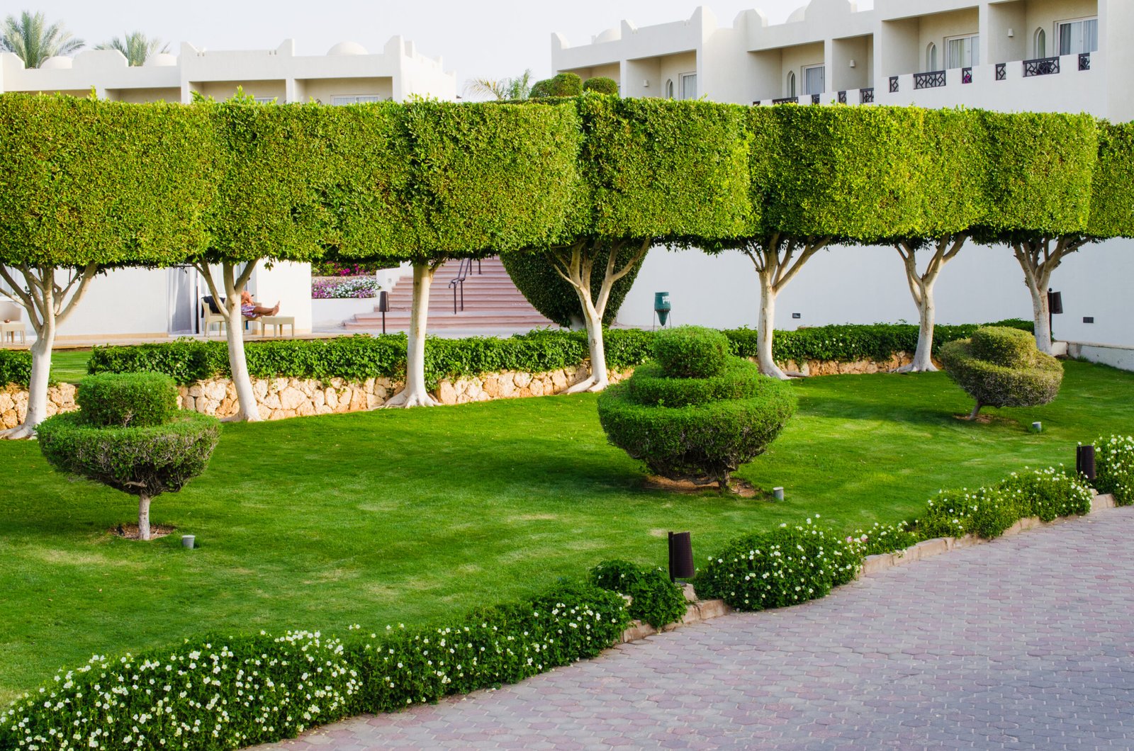 well-groomed-park-territory-five-star-hotel-summer-sharm-el-sheikh-scaled-1.jpg
